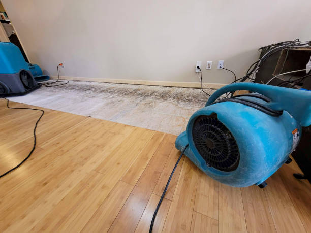 Professional Flood Damage Cleanup technician working in Ironton, MO